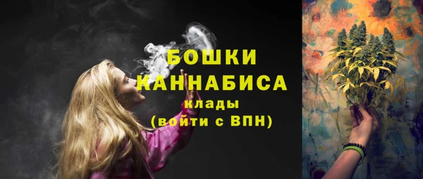 прущие грибы Нея