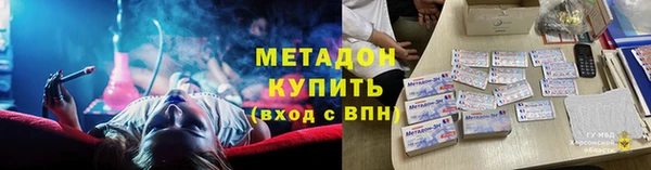 прущие грибы Нея