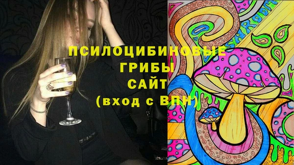 индика Новокубанск