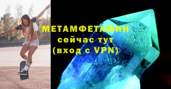 прущие грибы Нея