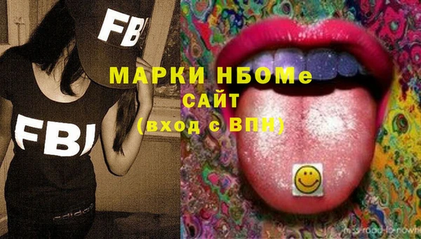 индика Новокубанск