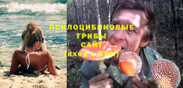 индика Новокубанск