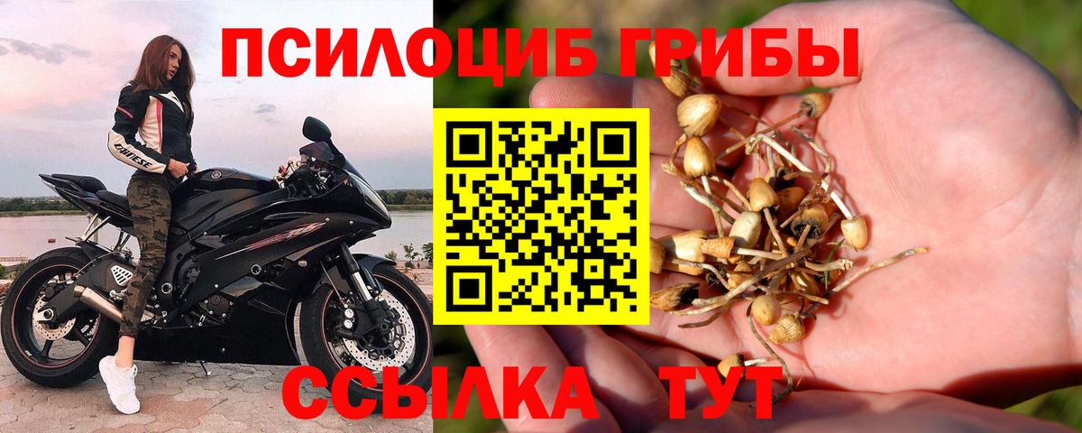 ГАШИШ  Киржач  Alpha-PVP СОЛЬ кристаллы  Вход с VPN  МДМА  Метамфетамин  КОКАИН  Сколько стоит  Гашиш  Меф  